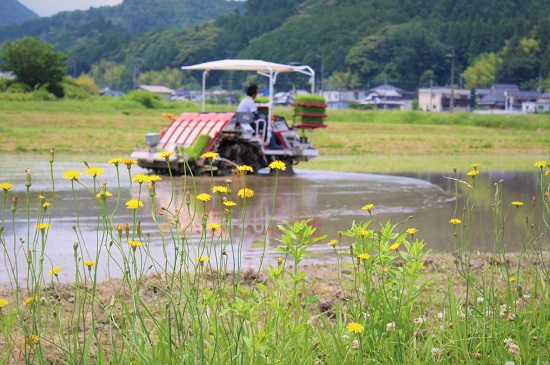 素材へのこだわり画像